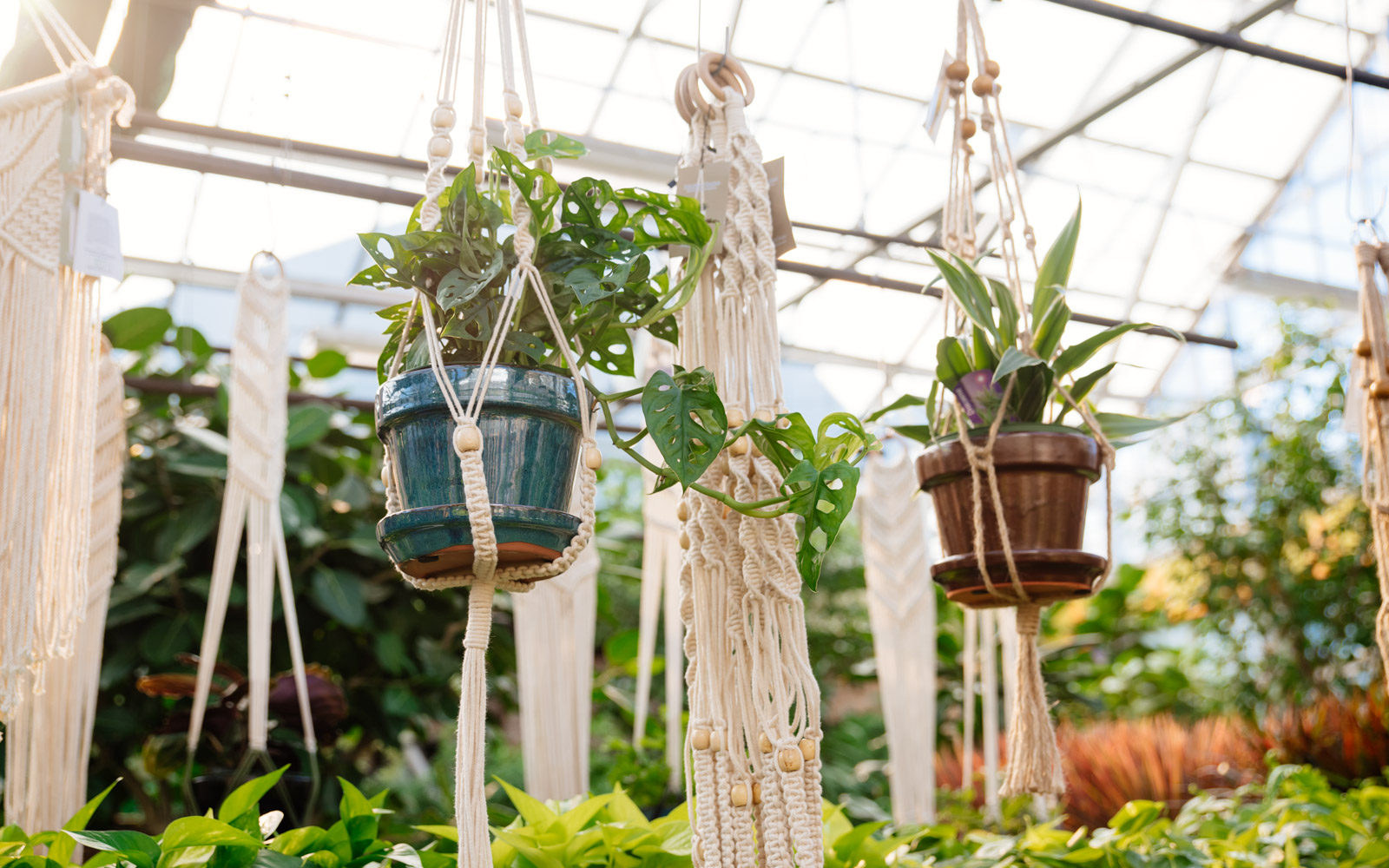 09/27/2026 - Macrame Magic: Create Your Own Hanging Planter Workshop