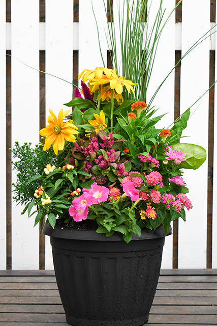 Annuals Flower Containers: Seasonally appropriate containers for your porches and patios, made with care by our experts.