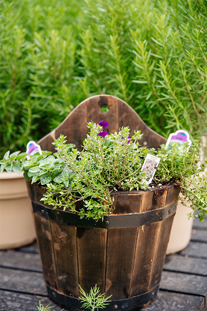 Herb and Veg Containers: No space for a garden? No problem. Grow your veggies above ground in our custom planters.