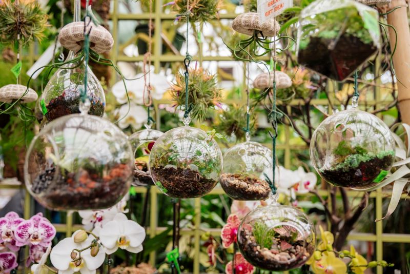 10/10/2026 - Classic Terrarium Workshop - Image 7