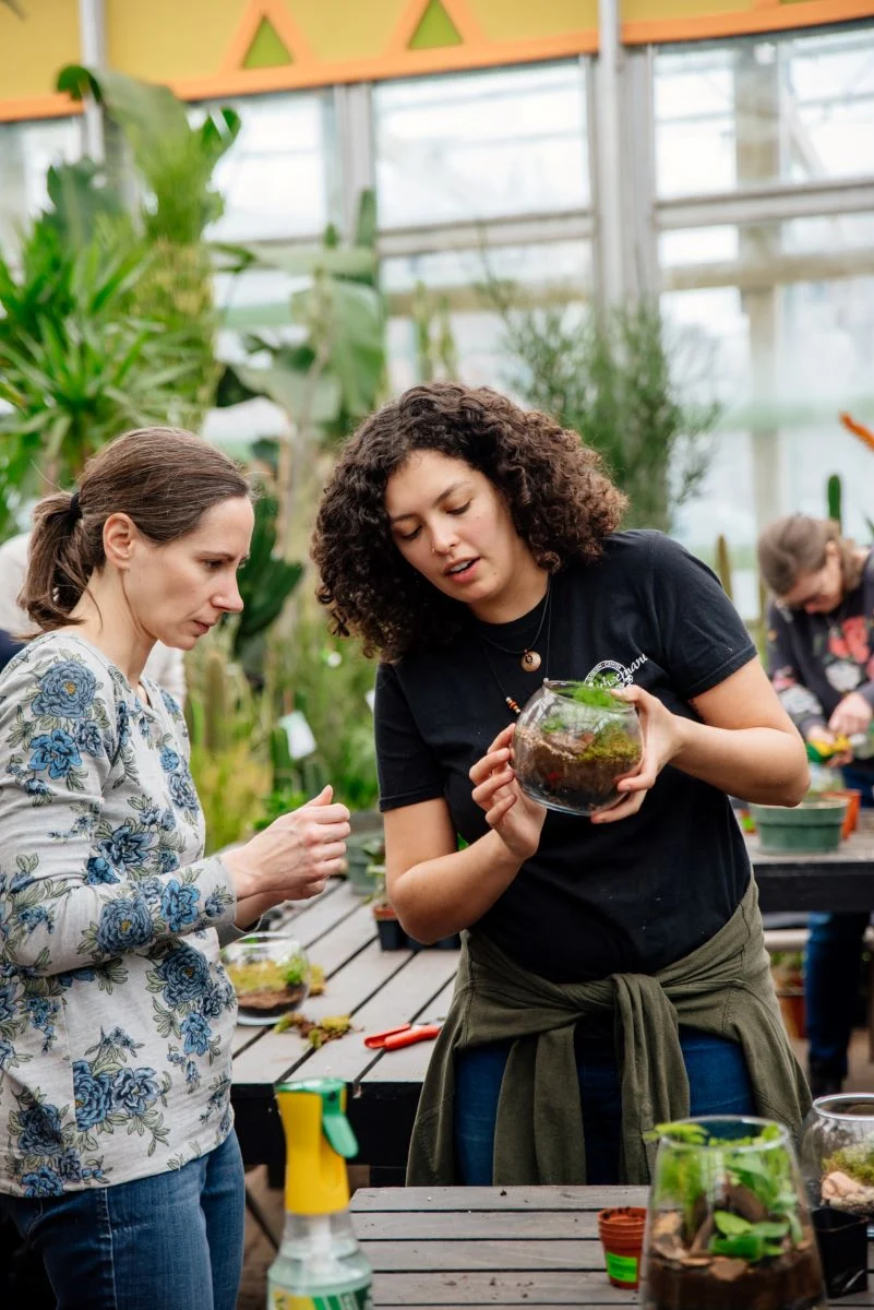10/10/2026 - Classic Terrarium Workshop - Image 5
