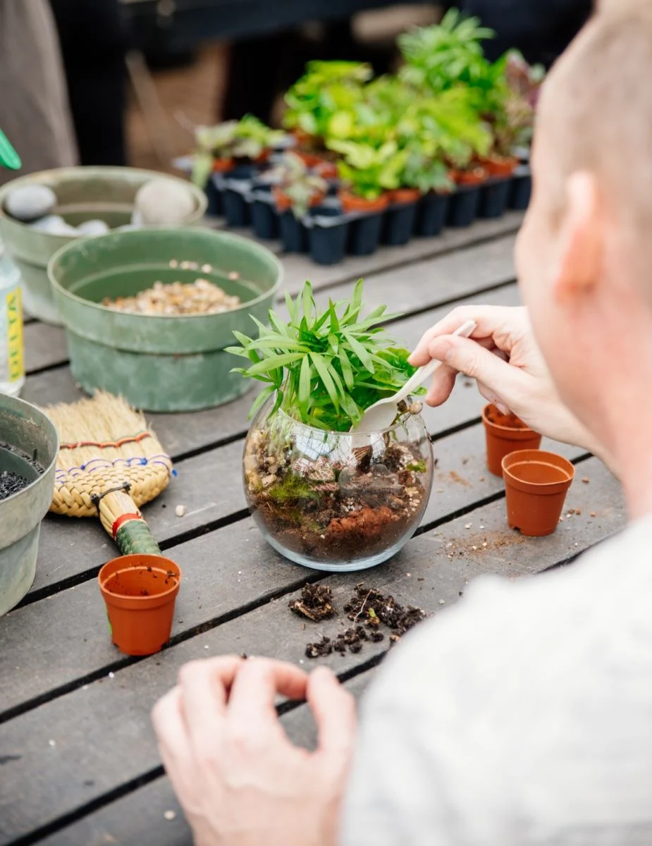 10/10/2026 - Classic Terrarium Workshop - Image 4