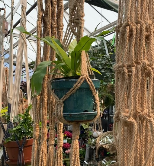 09/27/2026 - Macrame Magic: Create Your Own Hanging Planter Workshop - Image 2