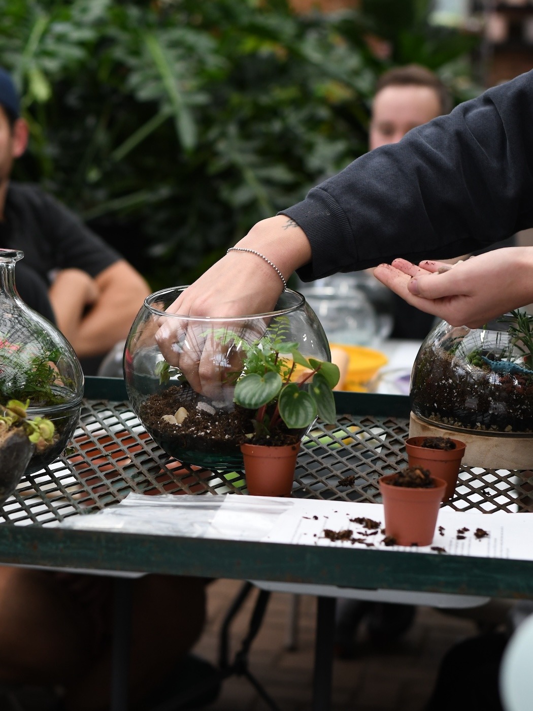 10/10/2026 - Classic Terrarium Workshop