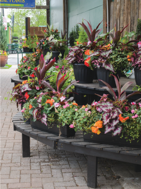 08/09/2026 - Designing for Place: Beautiful Containers for Every Space Workshop