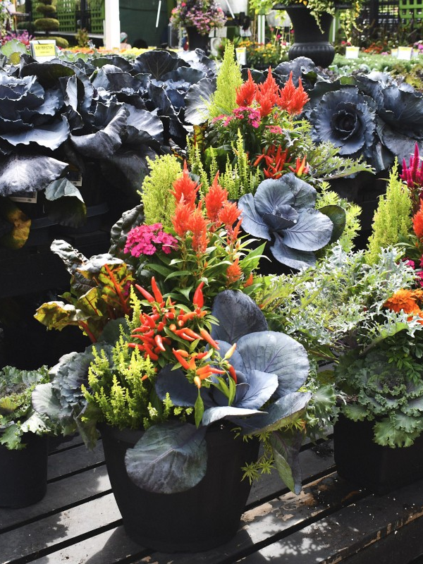 09/27/2026 - Fall in Full Color: Creative Explorations in Container Design