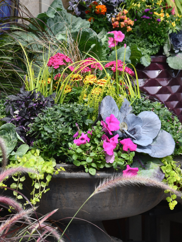 09/20/2026 - Fall in Full Color: Beyond Orange, An Introduction to Fall Container Design