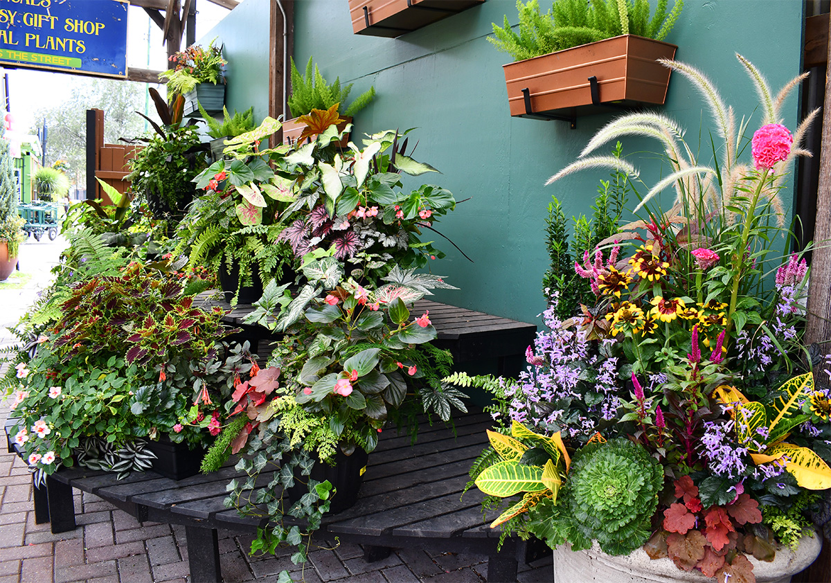 09/27/2026 - Fall in Full Color: Creative Explorations in Container Design - Image 3