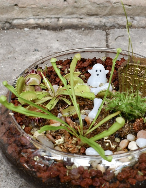 10/18/2026 - Spooky Bog Making Workshop