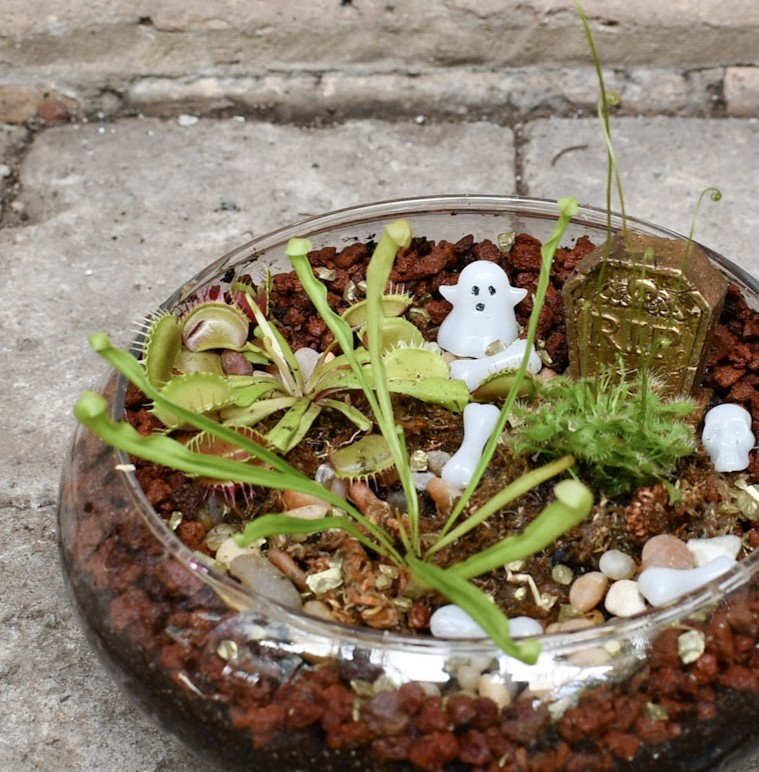 10/18/2026 - Spooky Bog Making Workshop