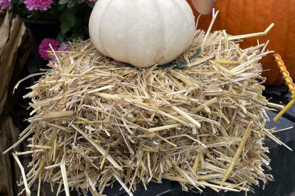 fall-haybales fall-haybales