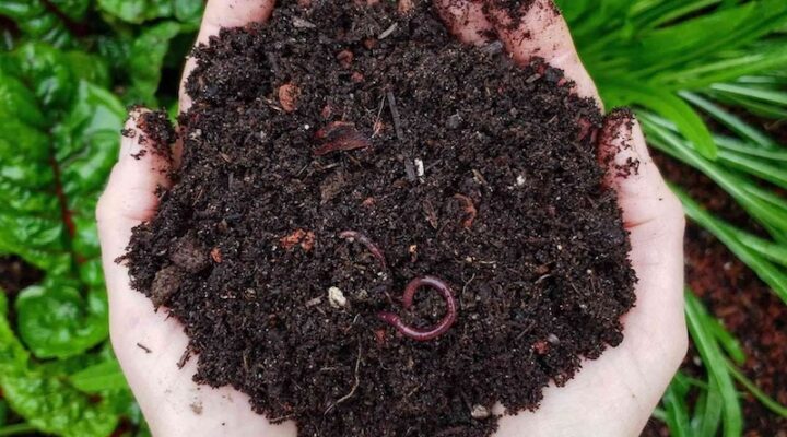 gardencenter-soilinhands gardencenter-soilinhands