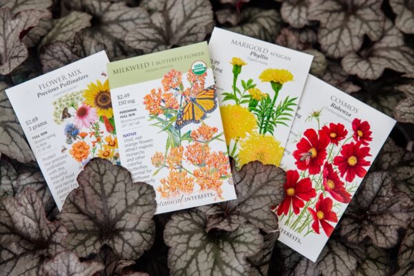 seeds-assortedpacks seeds-assortedpacks